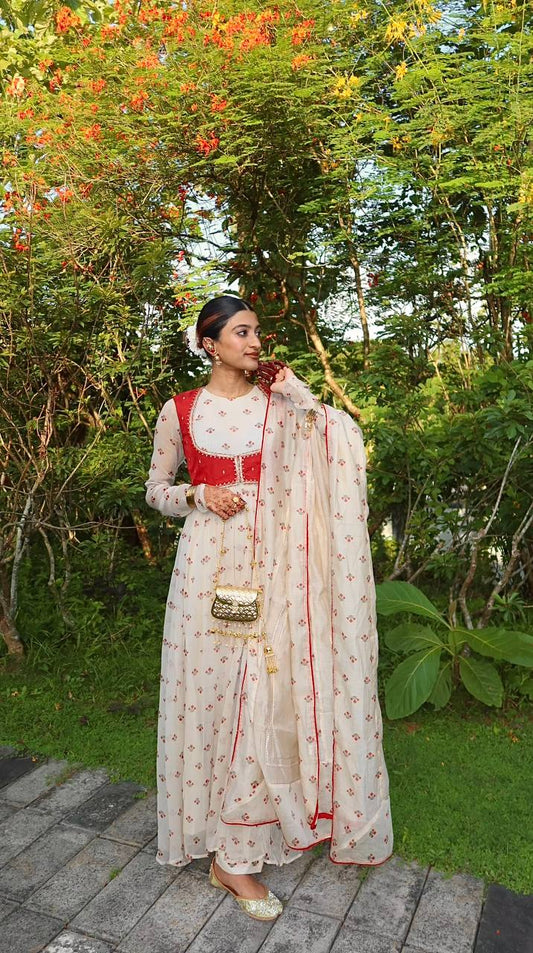 Elegant  Anarkali With Red Accents