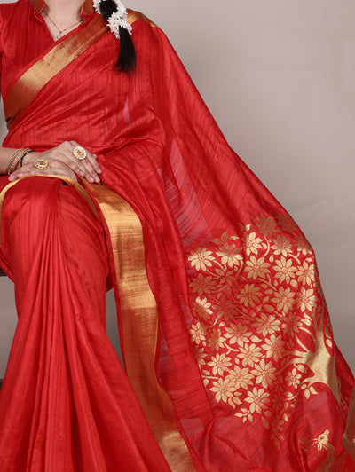 Traditional Saree Showcase