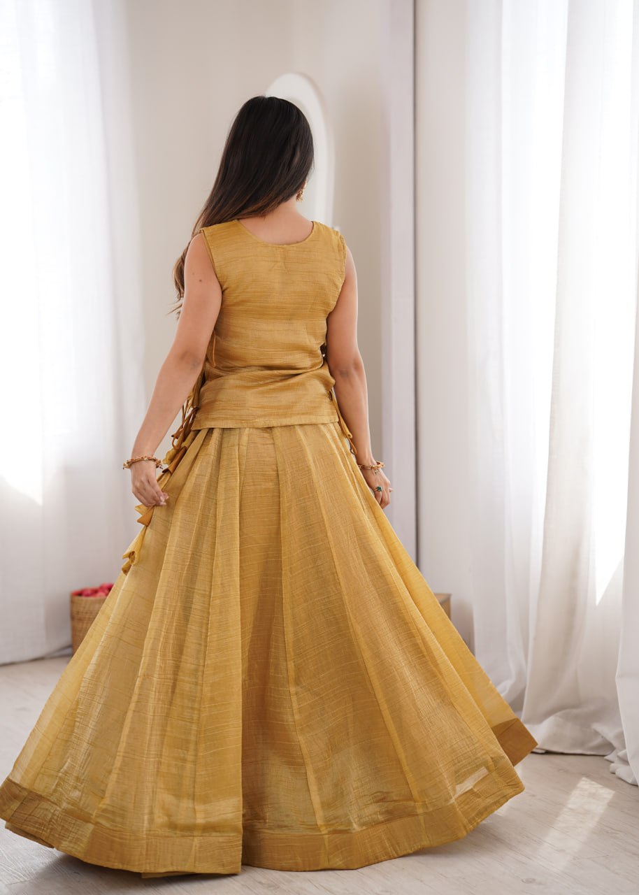 Zari Embroidered Sleeveless Top With Flared Lehenga Set